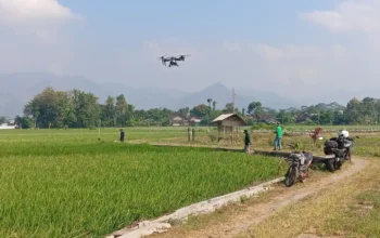 Trenggalek