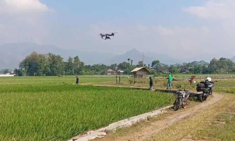 Petani Trenggalek Pilih Pakai Teknologi, Drone Mampu Semprot Sawah 100 ru Hanya 4-6 Menit