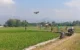 Petani Trenggalek Pilih Pakai Teknologi, Drone Mampu Semprot Sawah 100 ru Hanya 4-6 Menit