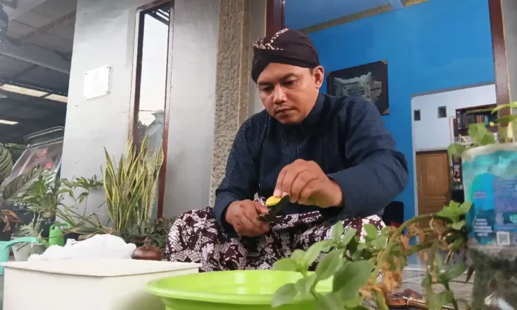 Tradisi Jamasan Pusaka di Trenggalek, Abdi Dalem Keraton Rawat Keris hingga Manuskrip Kuno