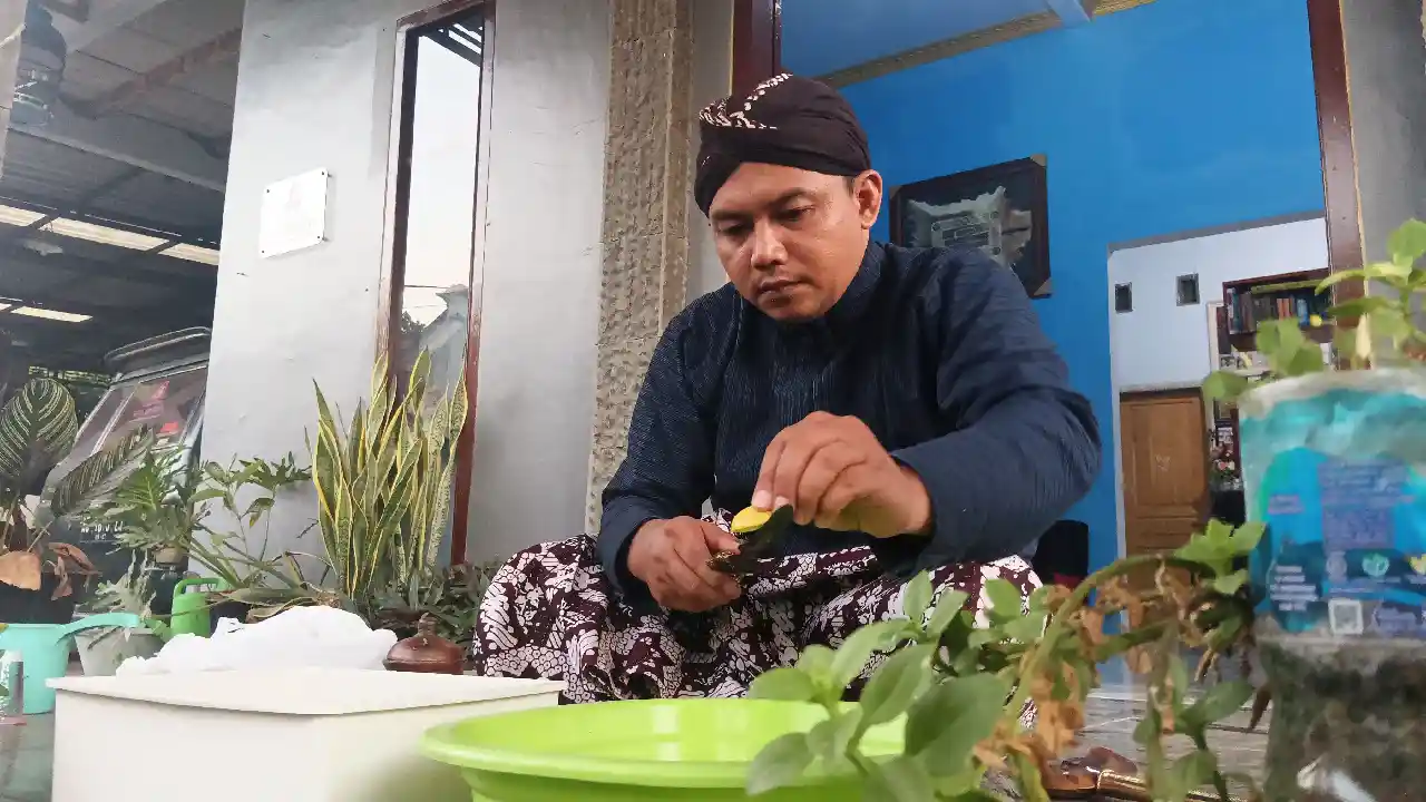 Trenggalek