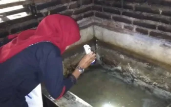 Trenggalek