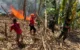 3,5 Hektar Lahan di Trenggalek Terbakar, Diduga Dipicu Akibat Puntung Rokok