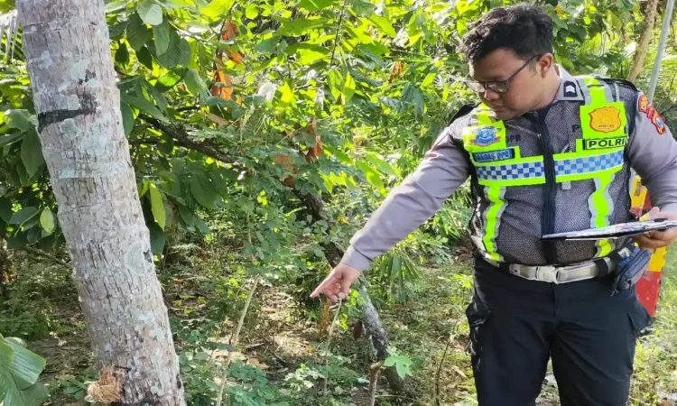Diduga Alami Kecelakaan Tunggal di Trenggalek, Guru Asal Tulungagung Meninggal Dunia