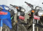 Trenggalek
