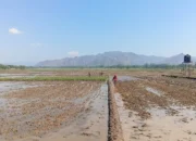 Trenggalek