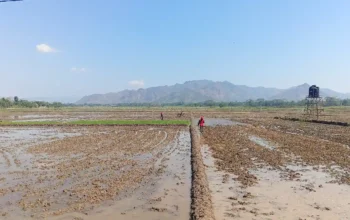 Trenggalek