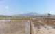 Trenggalek