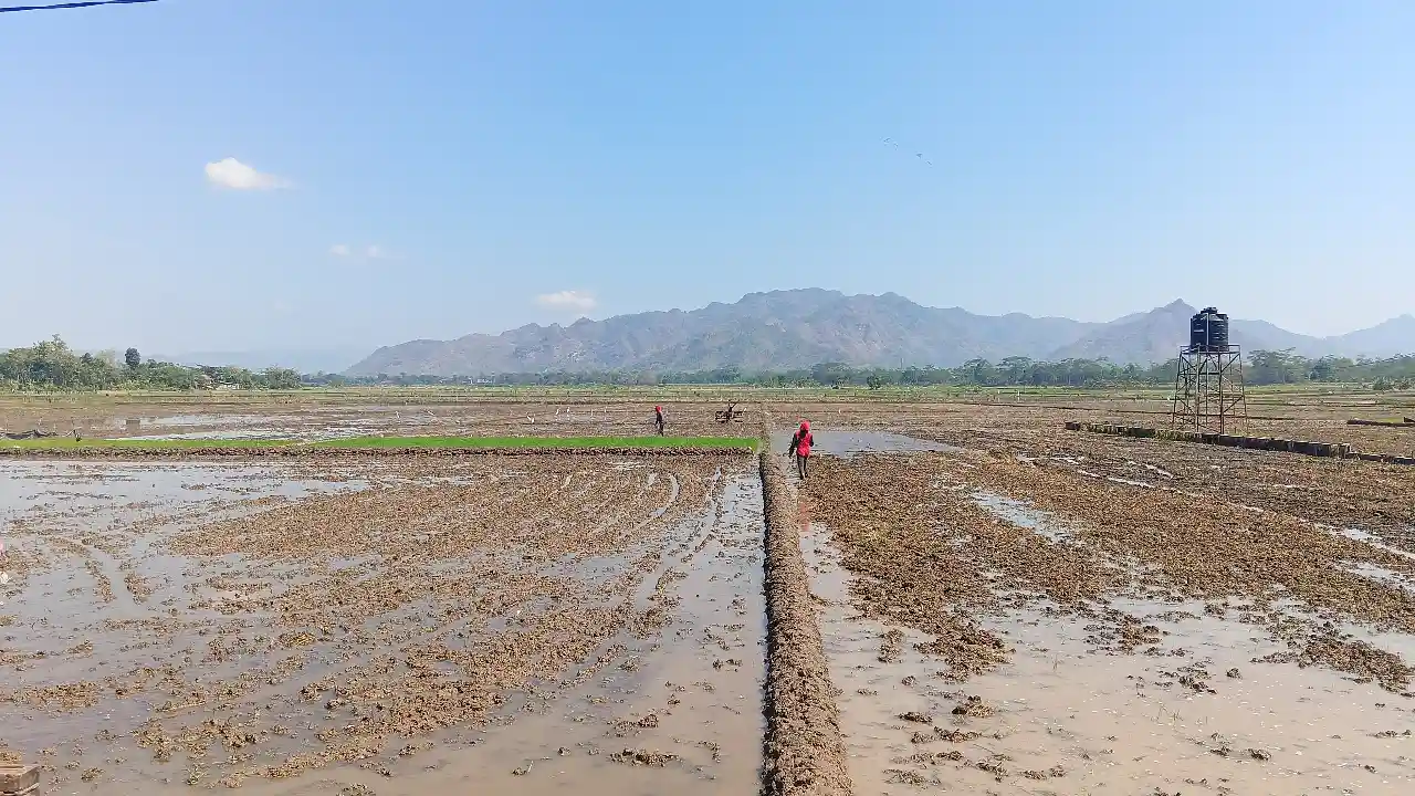 Trenggalek
