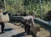 Trenggalek