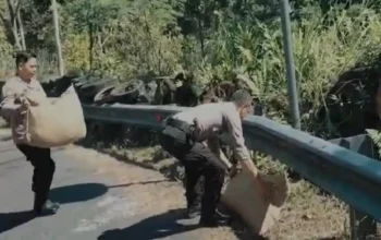 Trenggalek