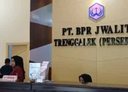 Bukan Cuma Usaha Mapan, Bank Trenggalek Juga Salurkan Modal untuk UMKM Rintisan