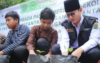 Trenggalek