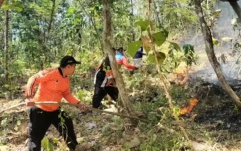 Trenggalek