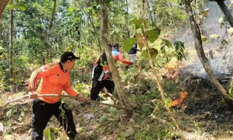 Musim Kemarau, BPBD Trenggalek Catat 13 Kejadian Karhutla dan Kekeringan di 22 Desa