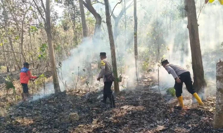 Kebakaran Hutan di Trenggalek Berhasil Dipadamkan, Warga Diimbau Waspada Karhutla
