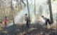 Kebakaran Hutan di Trenggalek Berhasil Dipadamkan, Warga Diimbau Waspada Karhutla