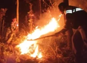 Kebakaran Hutan Jatiprahu Trenggalek Berhasil Dipadamkan, Petugas Hadapi Medan Sulit