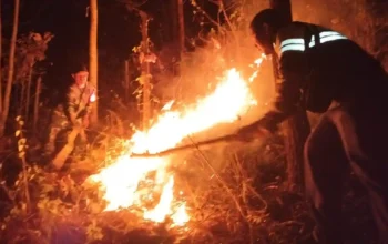 Kebakaran Hutan Jatiprahu Trenggalek Berhasil Dipadamkan, Petugas Hadapi Medan Sulit