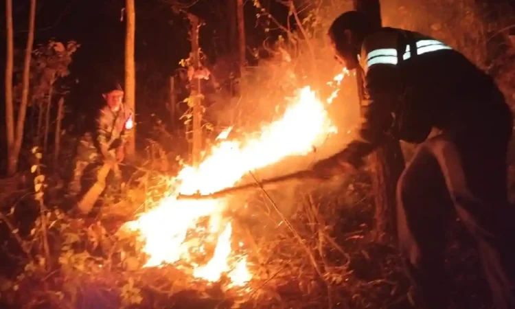 Kebakaran Hutan Jatiprahu Trenggalek Berhasil Dipadamkan, Petugas Hadapi Medan Sulit