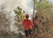 Trenggalek