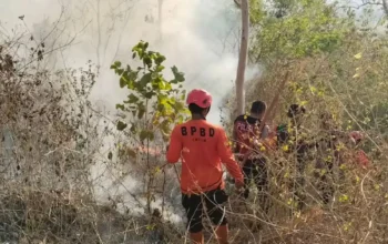 Trenggalek