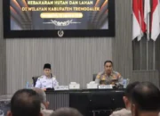 Trenggalek