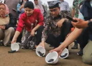 Trenggalek Punya Ruang Studi Keanekaragaman Hayati, Living Laboratory di Pantai Konservasi Penyu Kili-Kili