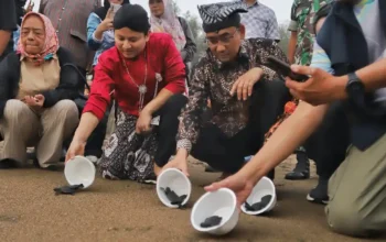 Trenggalek Punya Ruang Studi Keanekaragaman Hayati, Living Laboratory di Pantai Konservasi Penyu Kili-Kili