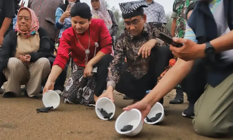 Trenggalek Punya Ruang Studi Keanekaragaman Hayati, Living Laboratory di Pantai Konservasi Penyu Kili-Kili