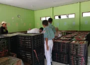 Trenggalek