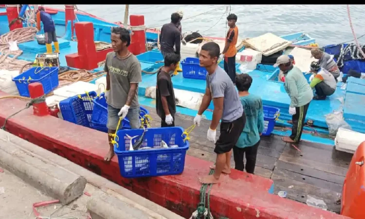 Harga Solar Kapal 30-200 GT Jadi Rp15 Ribu per Liter, Nelayan Trenggalek Sambut Baik