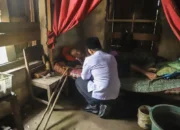 Trenggalek