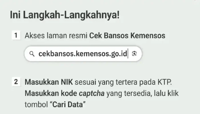 Cara Cek Desil DTSEN Secara Resmi lewat Situs BPS dan Kemensos