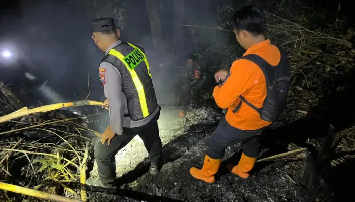 Lahan Warga di Panggul Trenggalek Terbakar, Petugas Gabungan Sigap Padamkan Api