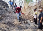 Berniat Selamatkan Kebun Kopi dari Kebakaran, Kakek di Trenggalek Ditemukan Meninggal Terbakar