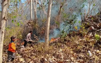 2 Hektar Lahan Hutan di Trenggalek Terbakar, Lokasi di Gunung Jolangkas Gador