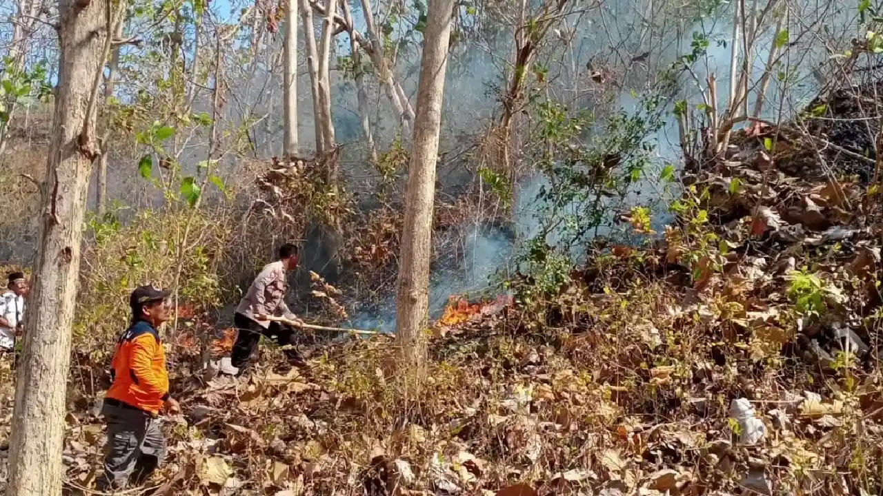 Trenggalek