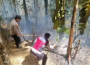 Trenggalek