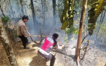 Trenggalek