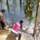 Trenggalek
