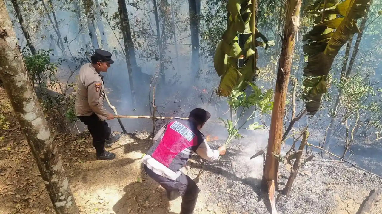 Trenggalek