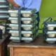 Trenggalek