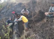 Trenggalek