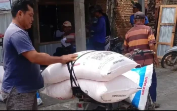 Trenggalek