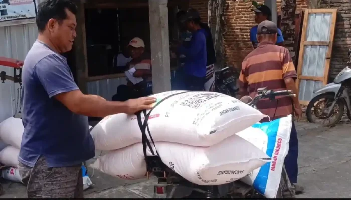 Penyaluran Pupuk Bersubsidi di Trenggalek Capai 80,84 Persen Per September 2026