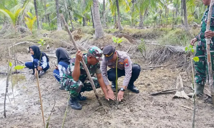 Wujud Peduli Lingkungan, Aksi Tanam Mangrove di Trenggalek Dibarengi Bersih-bersih Pantai
