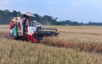 Trenggalek