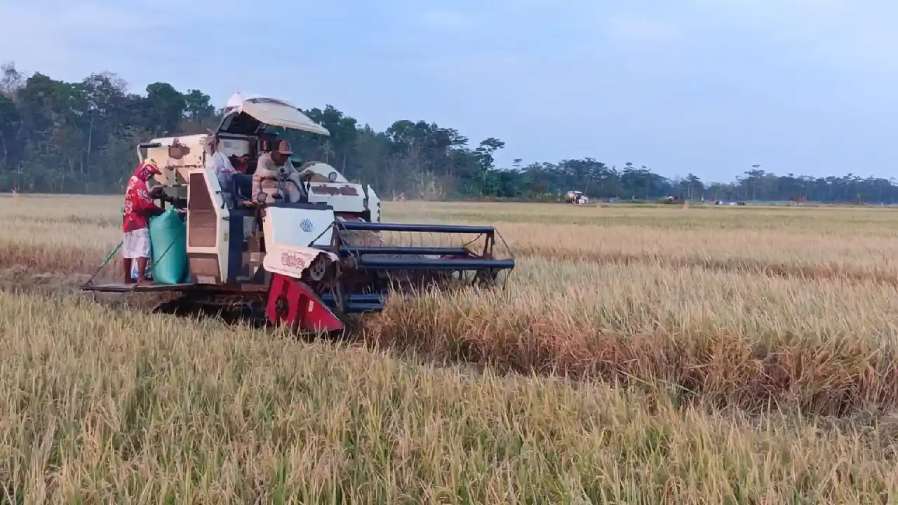 Trenggalek