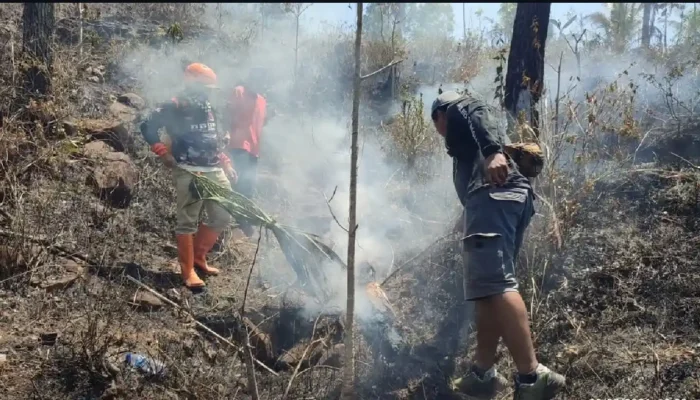 Kebakaran Hutan di Wilayah KPH Kediri Capai 128,55 Hektare, Kerugian Ditaksir Rp 439,8 Juta